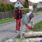 1494362296_majka16