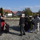 1494362296_majka25