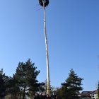 1494363644_majka35